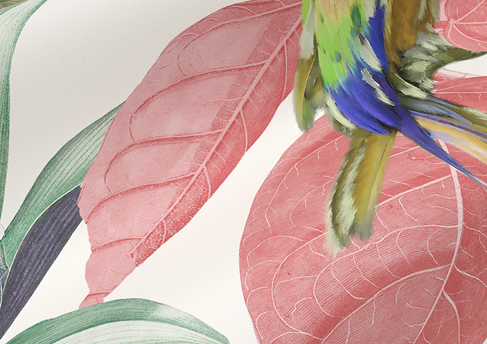 Parakeet, Fruit Punch - Roller Blind - Image 4